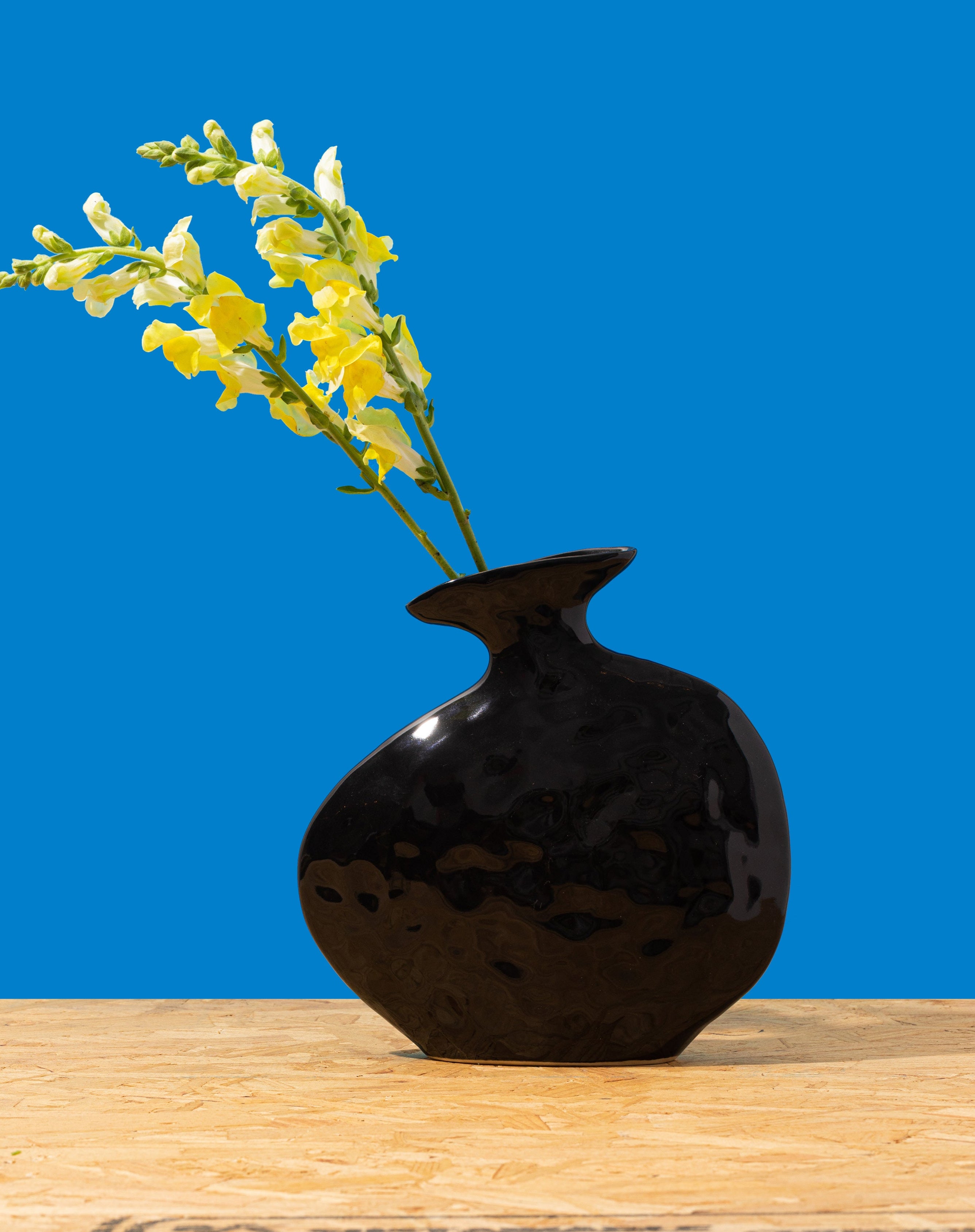 Flat Vase in Black